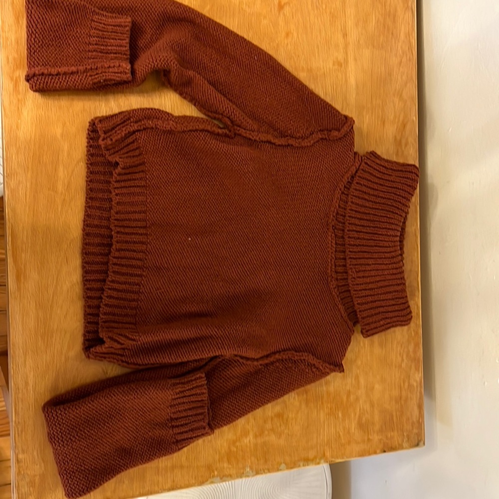 Cropped turtleneck free people sweater